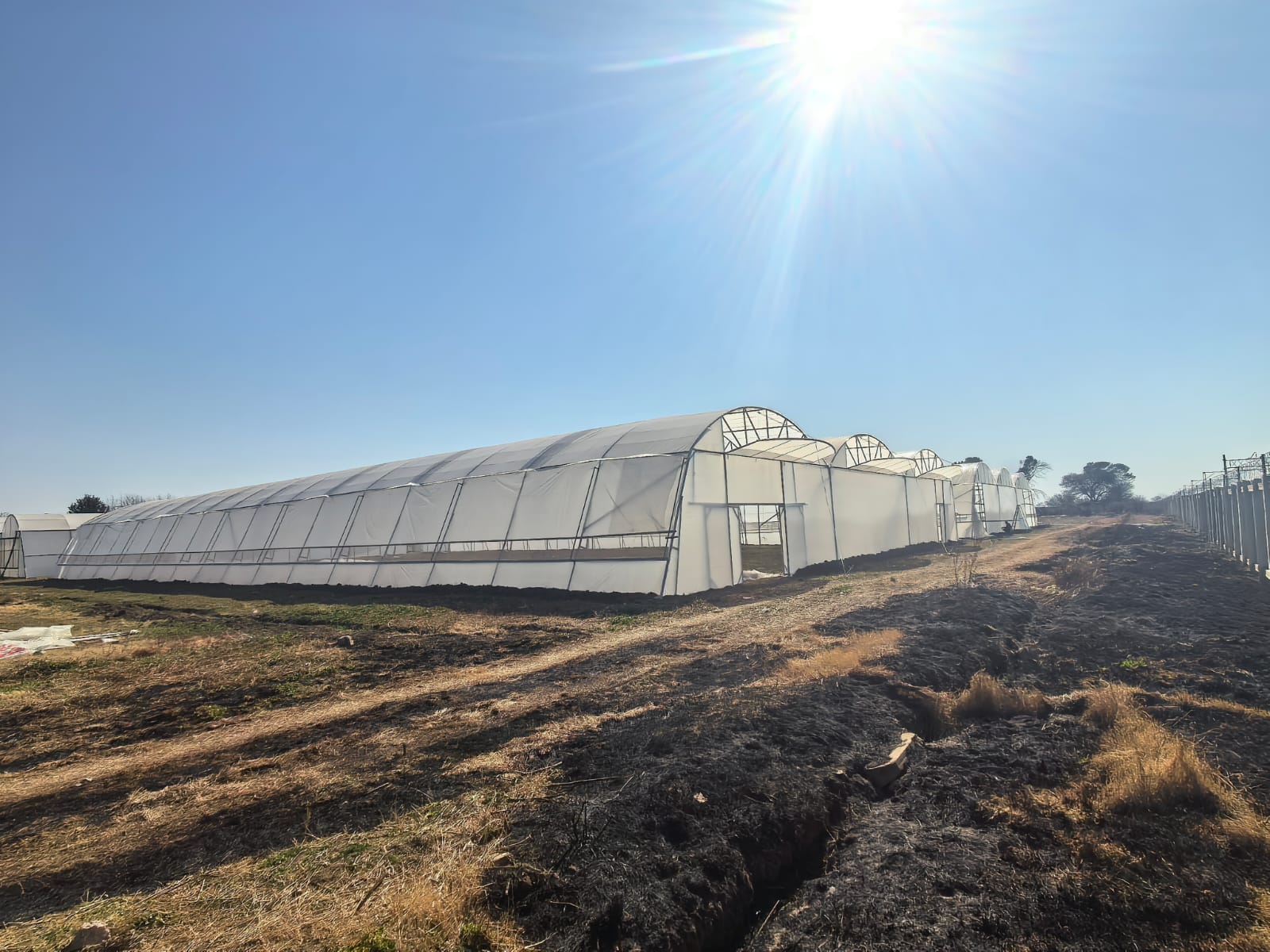 Multi-Span Tunnels built by Future Farms SA