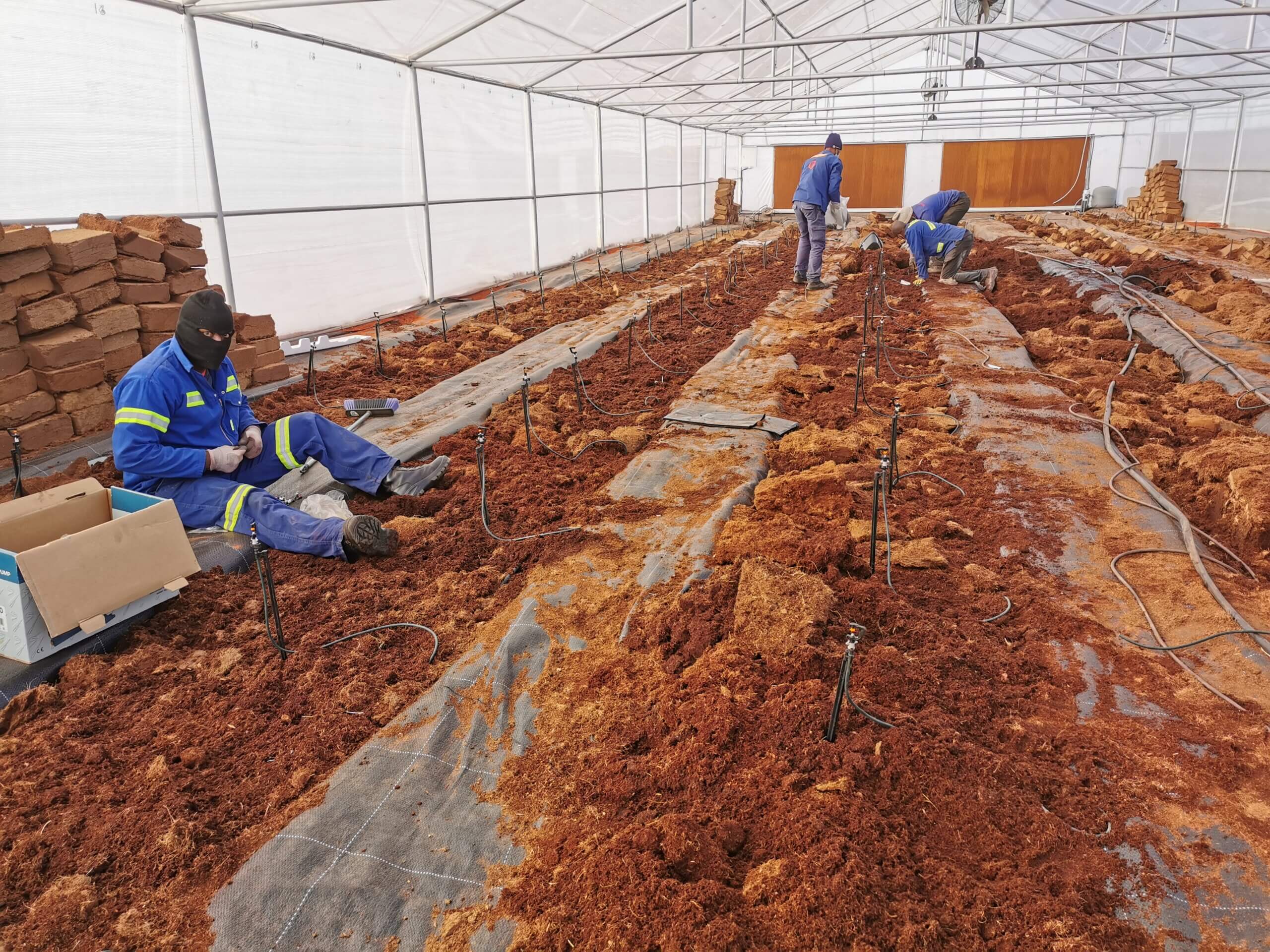 Water collection and pump infrastructure at the Kathu hydroponic farm