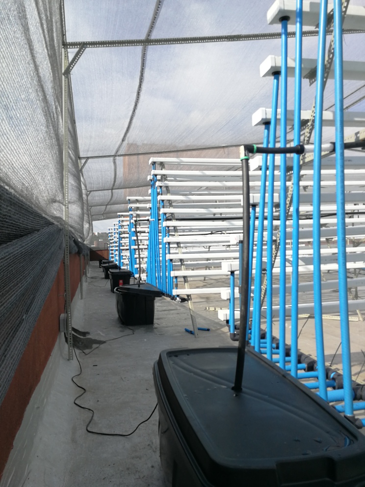 Greenhouses built by Future Farms for Anglo American in Kathu