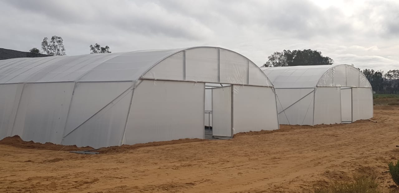 30m x 10m Tunnel built by Future Farms SA